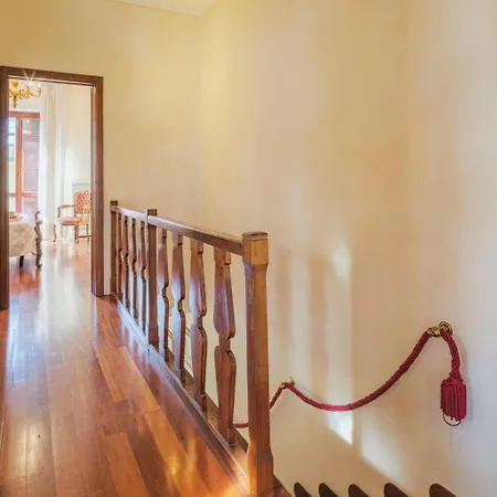 Orchidea By Interhome Camaiore