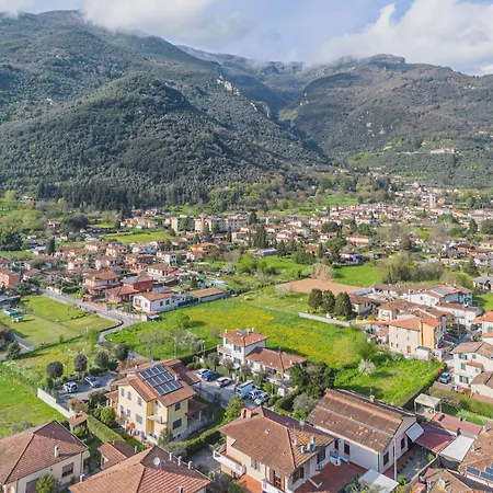 Orchidea By Interhome Camaiore